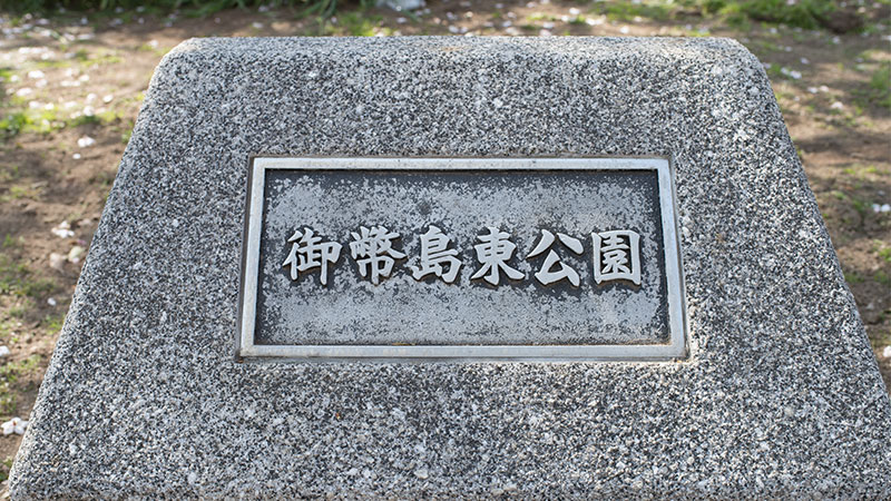 Cherry blossoms in Mitejima East Park