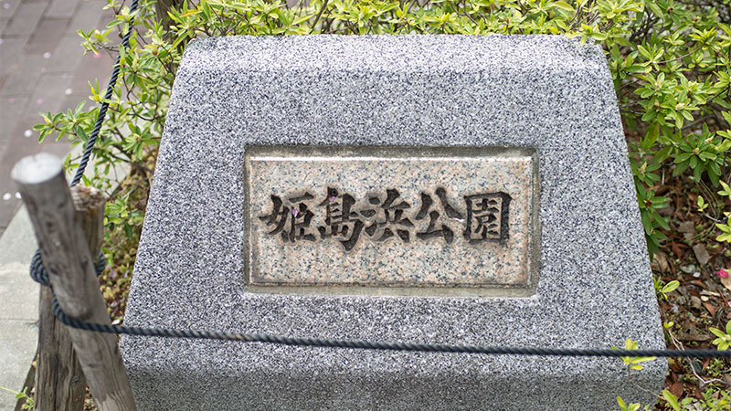 Cherry blossoms in West Himejimahama Park