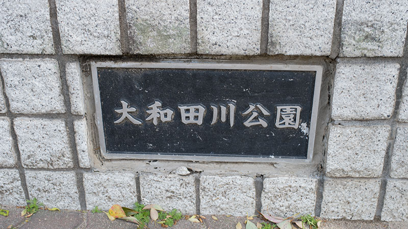 Cherry blossoms in Ohwada River Park