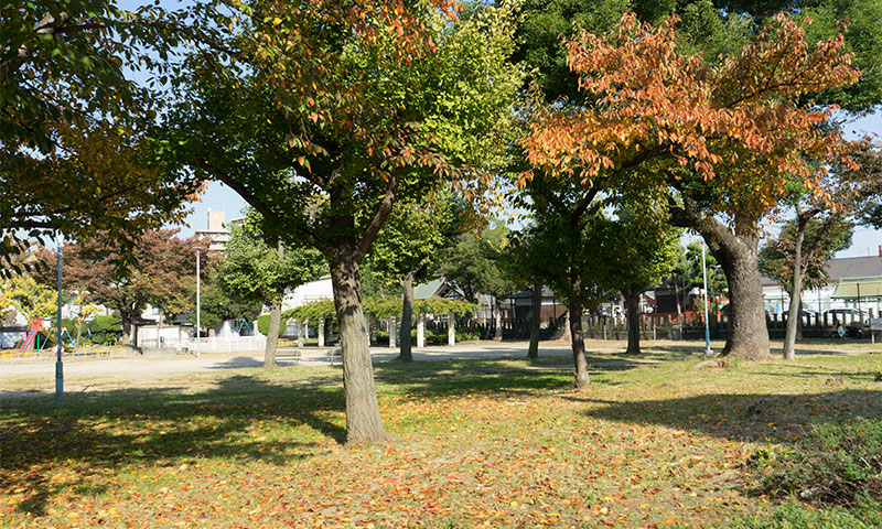 Himejima park