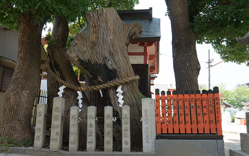 Divine tree of Himejima Shrine