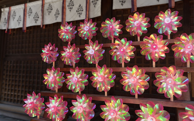 Pinwheels of Himejima Shrine