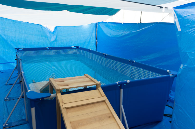 SOUTHFIELD rectangular camp tarp tent and Indoor pool surrounded by blue sheets.