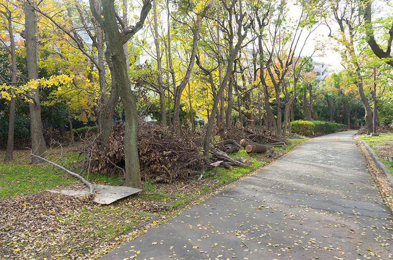 Damage by typhoon 21 at Ohno River Promenade (a.k.a. Ryokuin Road)