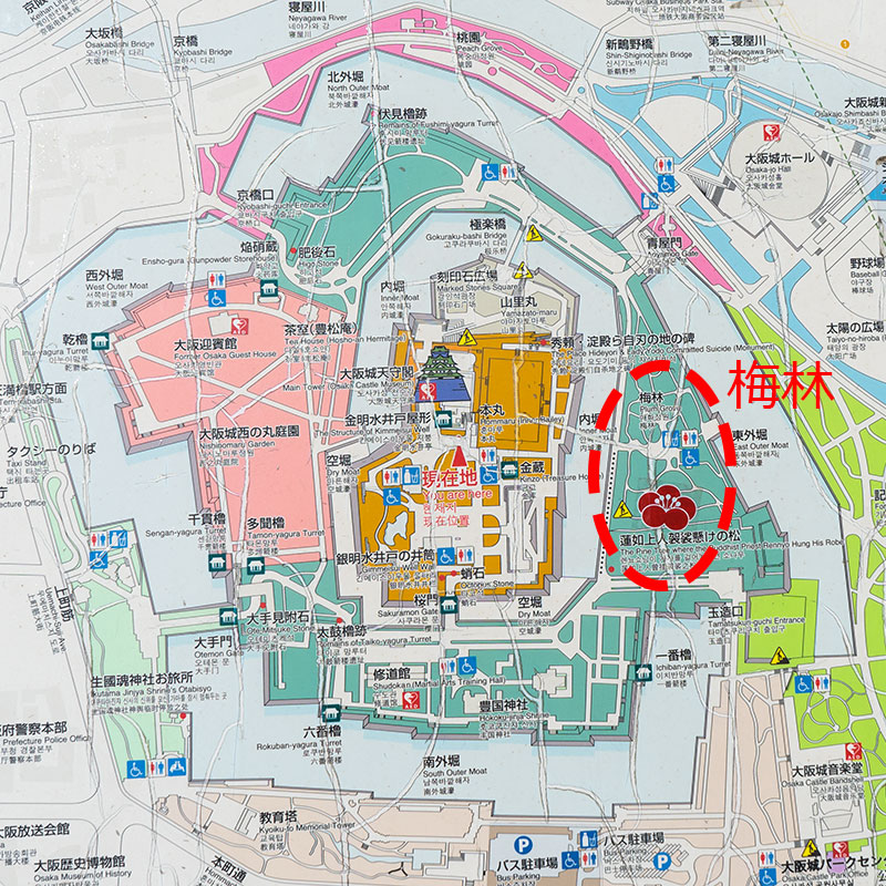 Map of Osaka Castle park (location of plum trees)