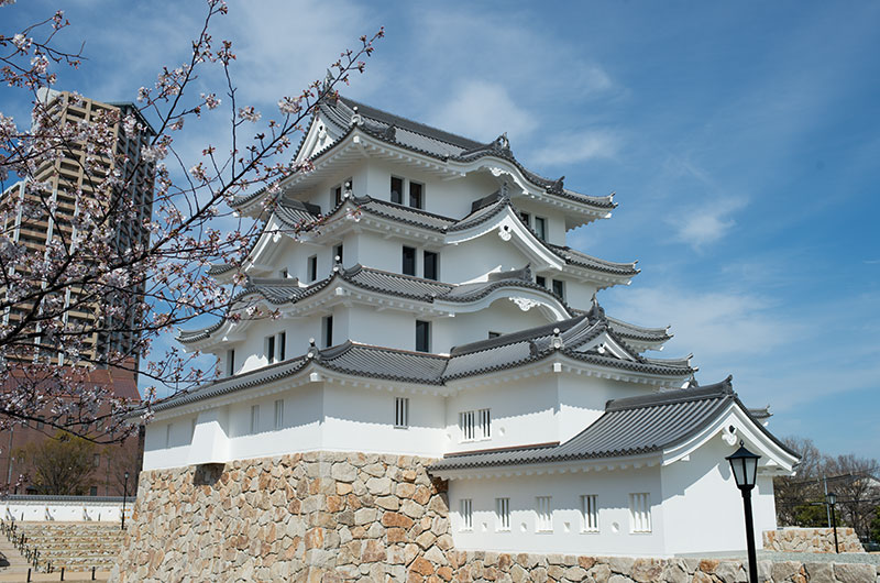 Cherry blossoms at Amagasaki Castle