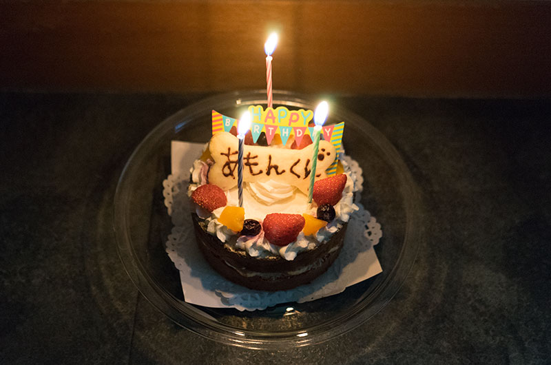 Birthday cake and Candles for Shiba Inu’s Amo-san’s three years old