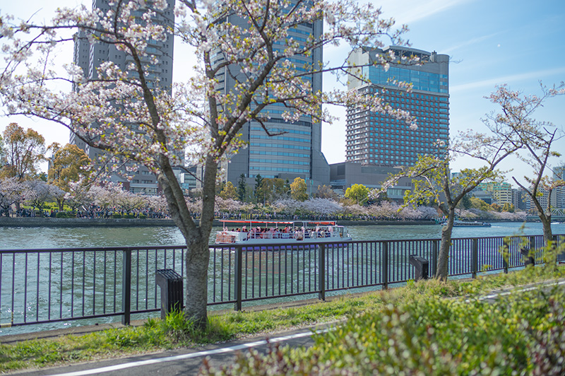 Sightseeing boat floating on Oh River looking from Kema Sakuranomiya Park