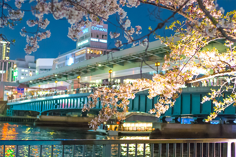 Sightseeing boat, Cherry trees and Tenma Bridge at night