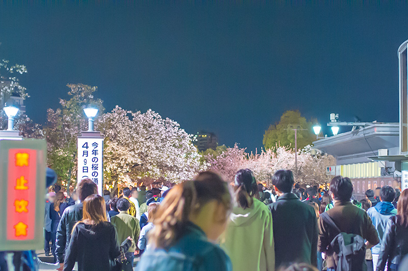 South gate of Mint Bureau at night