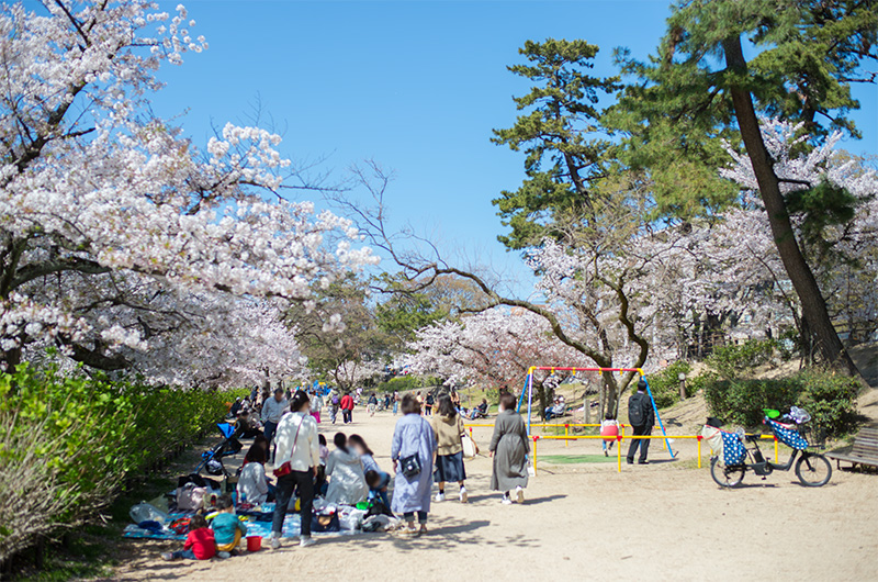 People enjoying Cherry blossoms at Shukugawa Riverbed Greenlands