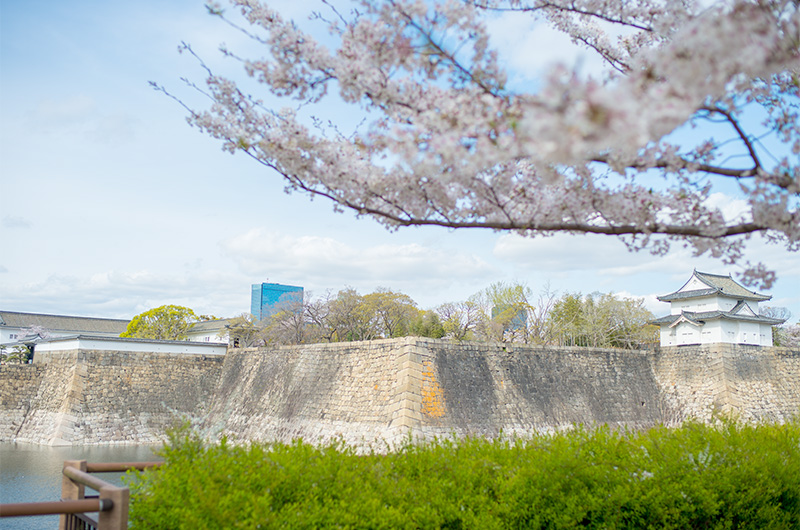 Cherry trees and Turret at Osaka Castle