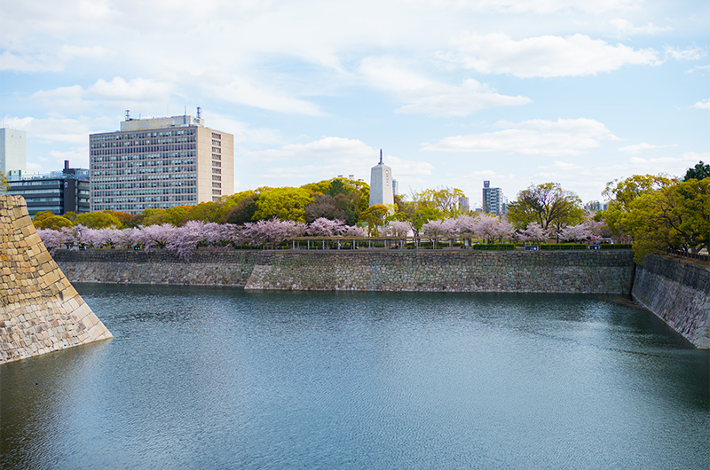 Cherry trees around south moat looking from Ote-mon gate