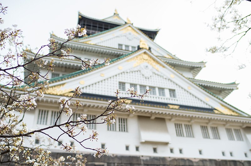 Cheery trees and Tenshu, summit of Osaka Castle, looking from Norheast side