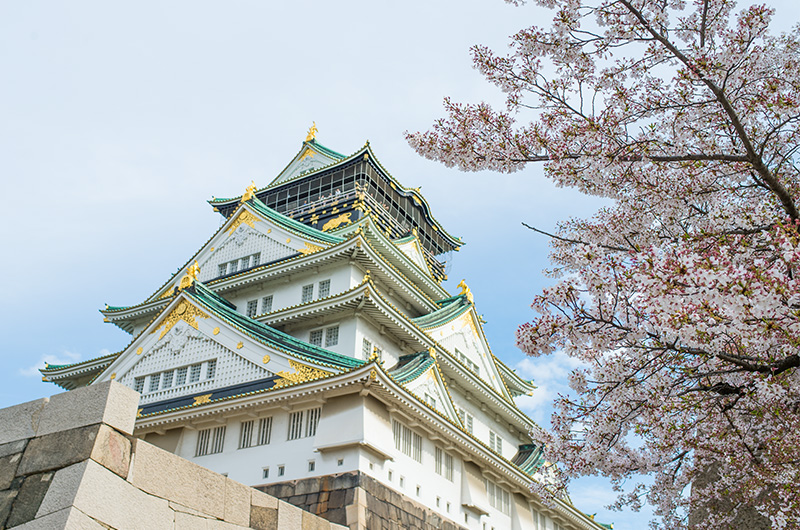 Wonderful Cheery trees and Tenshu, summit of Osaka Castle, seen from Yamazatoguchi-Demasugata