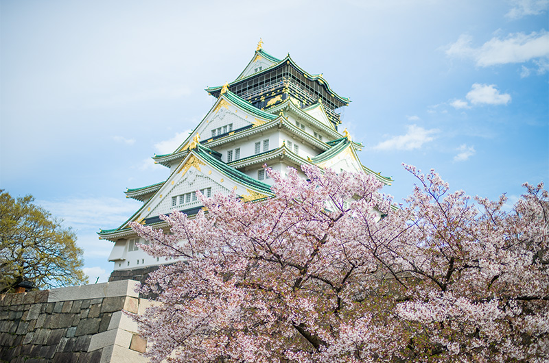 Marvelous Cheery trees and Tenshu, summit of Osaka Castle, seen from Yamazatoguchi-Demasugata