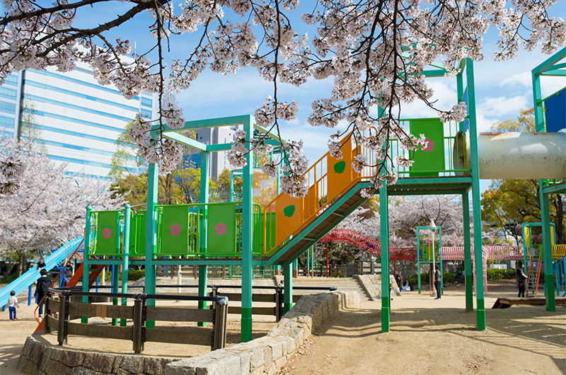 Cheery trees and Osaka Castle Playground