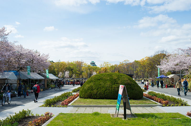 Booths and cherry trees on display in front of Osaka Castle Park fountain