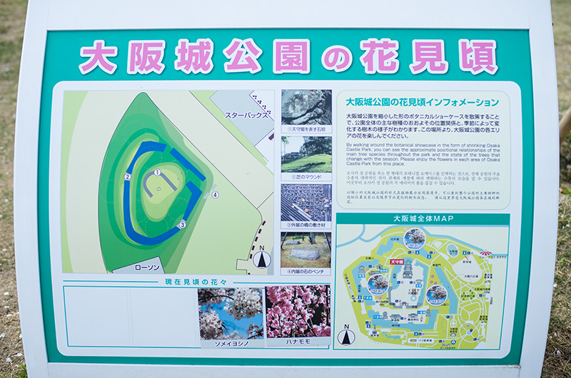 Information about Cheery trees in Osaka Castle Park