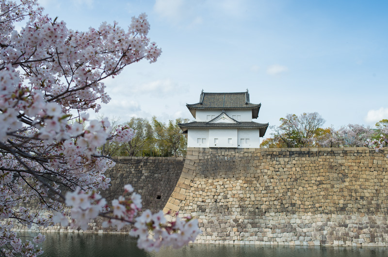 Cherry trees and Turret at Osaka Castle