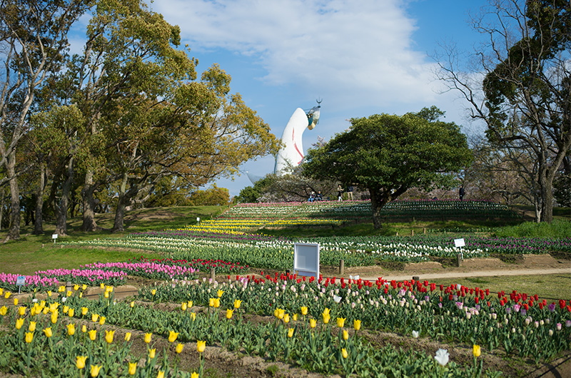 The Tower of the Sun looking from tulip garden
