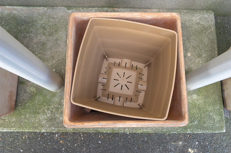 Resin pot into the ceramic one