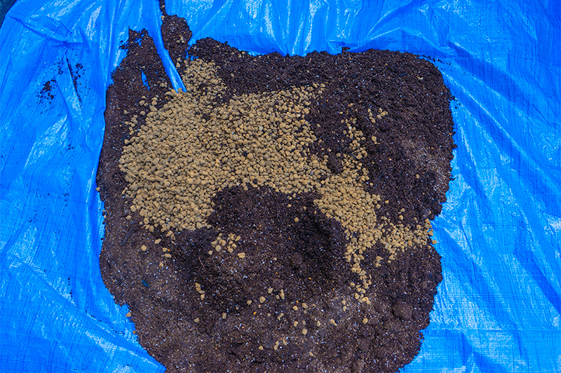 Dirt and Akadama soil for cherry
