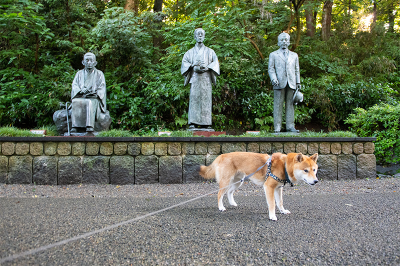 Shiba Inu’s Amo-san and Statues of Kyouka Izumi, Shusei Tokuda, and Saisei Murou