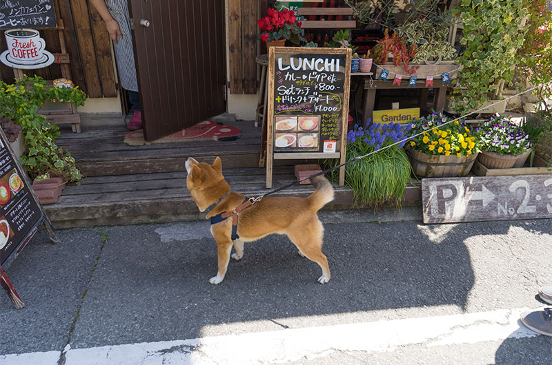 Outside of Living Cafe