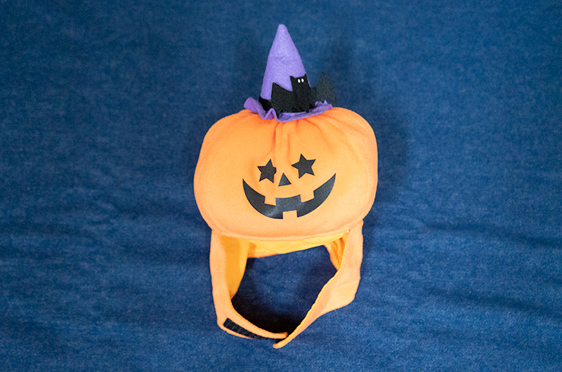 Pumpkin hat for dogs