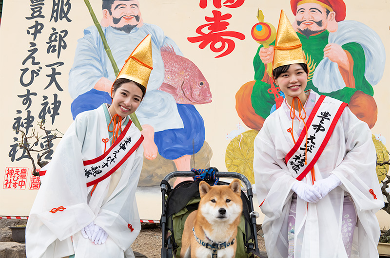 Shiba Inu’s Amo-san and Hiroko Ogura, electone player, at Setsubun festival of Hattori Shrine in second year of Reiwa