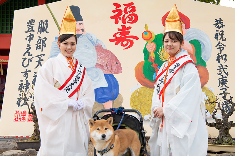 Shiba Inu’s Amo-san, representative of Shrine Maiden and Festival friendship ambassador at Setsubun festival of Hattori Shrine in second year of Reiwa