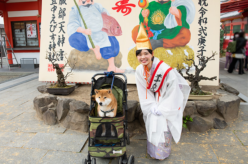 Representative of Shrine Maiden at Setubun festival of Hattori Shrine in second year of Reiwa