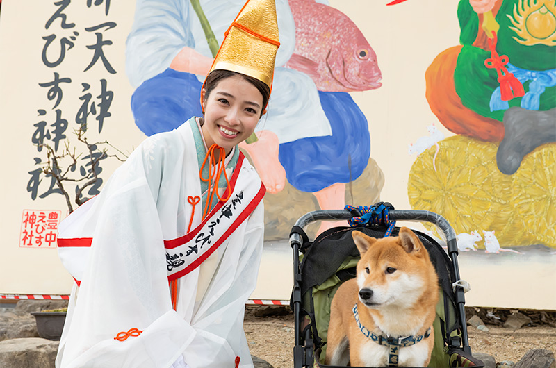 Shiba Inu’s Amo-san and Hiroko Ogura, electone player