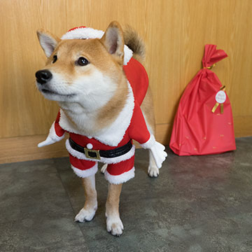 Amo-san as Santa