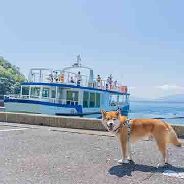 柴犬亜門さん京都府 丹後半島の旅(後編)