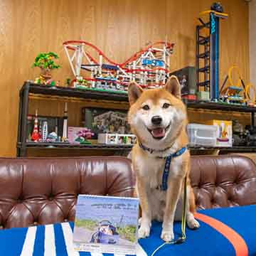 柴犬亜門さん カレンダー2025