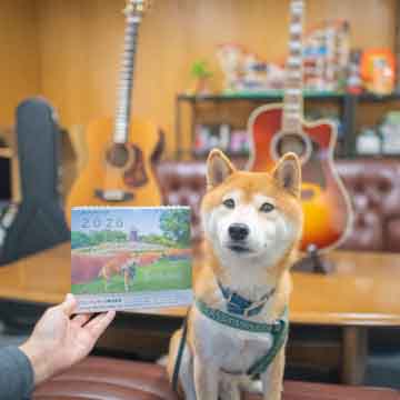 柴犬亜門さん カレンダー2026