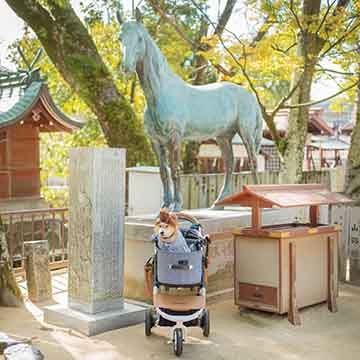 柴犬亜門さんとイシキリツルギヤ号