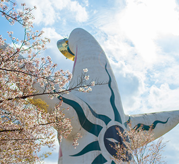 大阪の桜の名所　万博記念公園